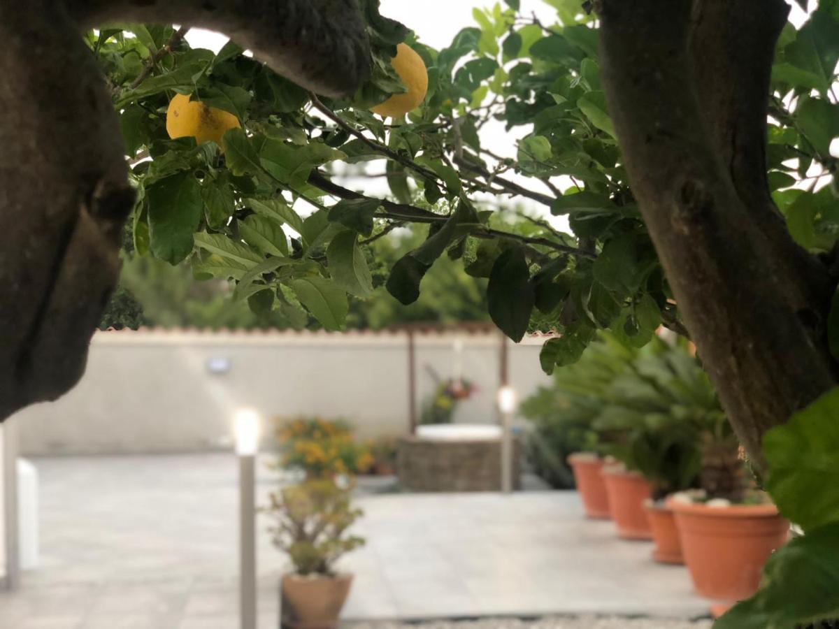 Invilla - Quality Bed and breakfast Santa Maria di Castellabate
