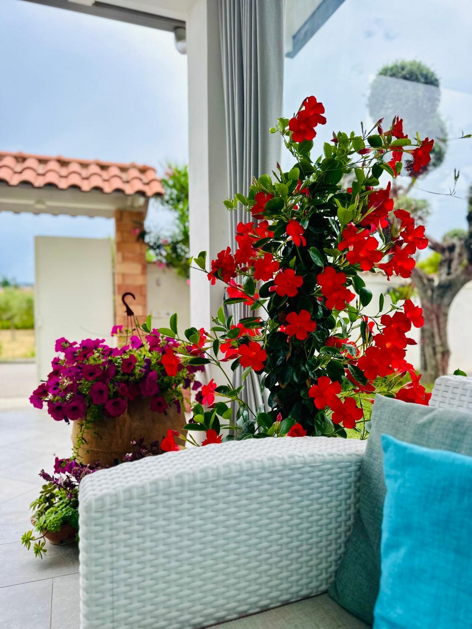 Invilla - Quality Santa Maria di Castellabate